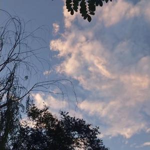 河南妇女毛浓浓Bw
